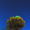 Starry sky...
