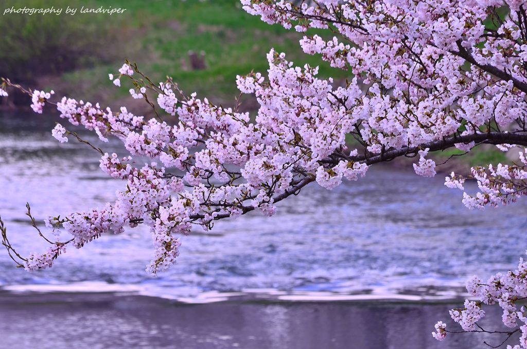 Like the flow of the river