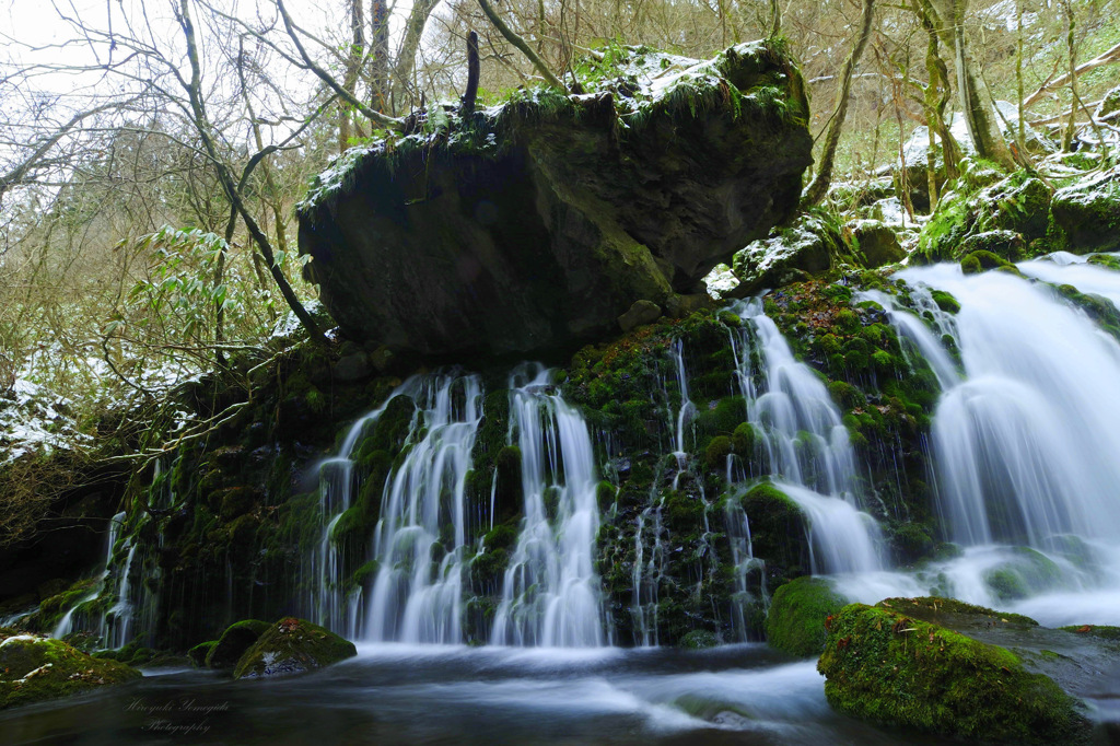 The sound of nature...