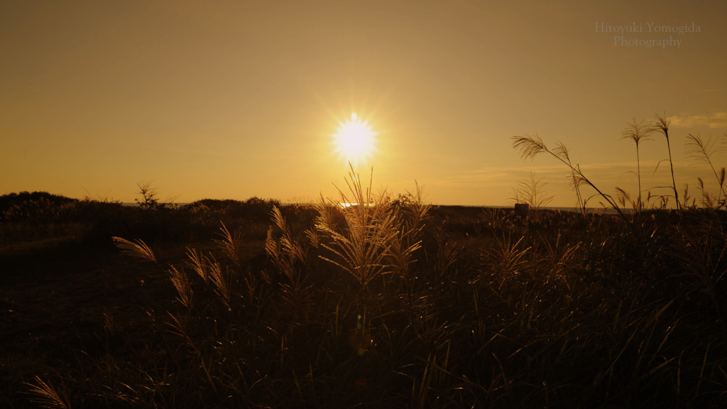 Autumn dusk...