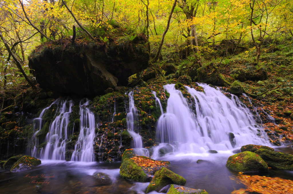 Autumn symphony...