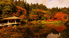 Japanese landscape garden...