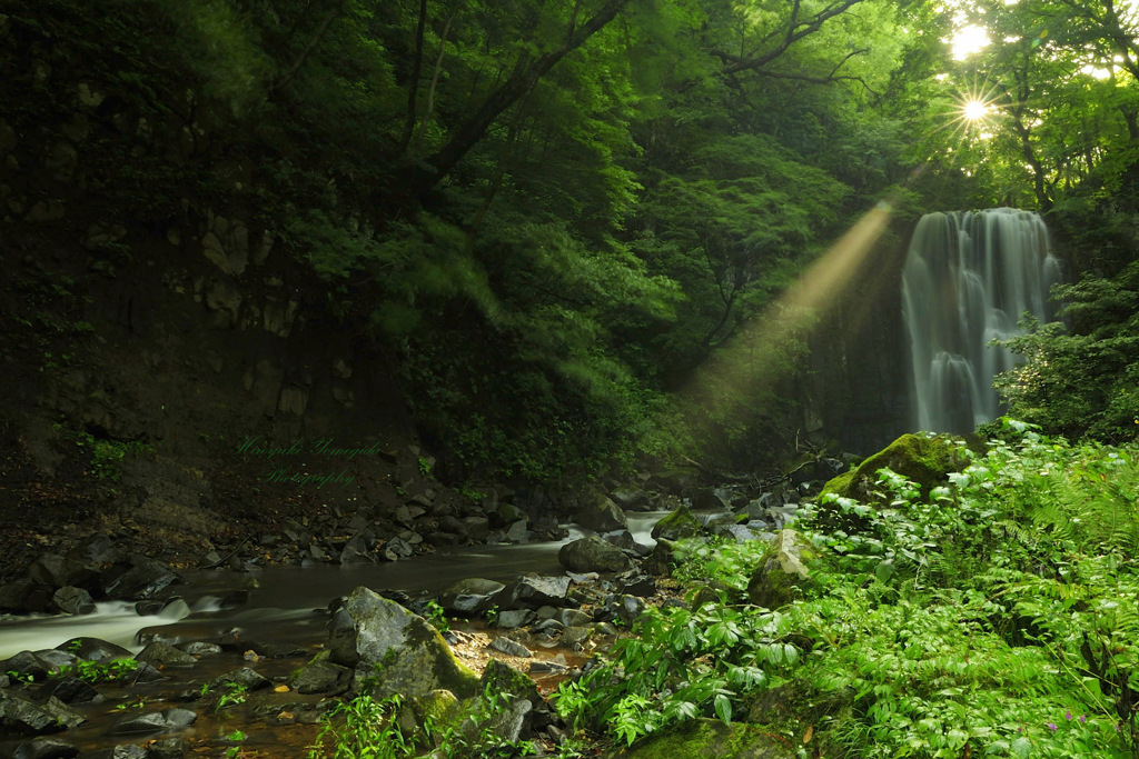 Ray of light...