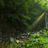 Ray of light...