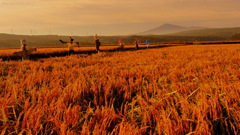 Morning landscape...