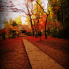 Late autumn...