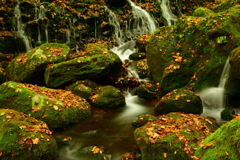 Beautiful late autumn...