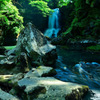 Healing green...