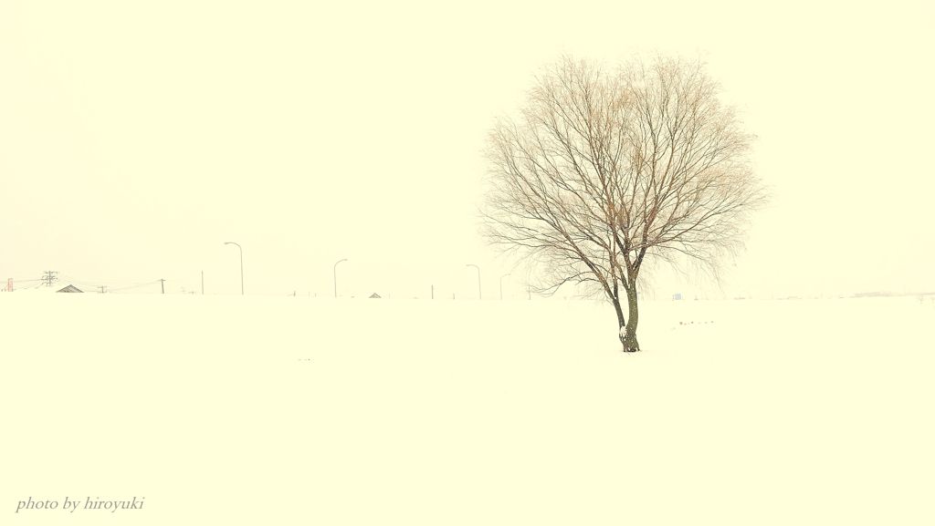 White world ...