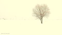 White world ...