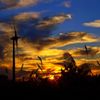 What I think at dusk...? 