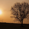 new morning...