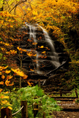 Autumn waterfall...