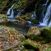 Beautiful late autumn...