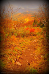 autumn landscape...