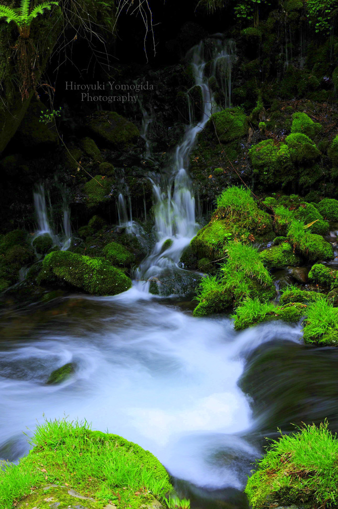 Beautiful stream...