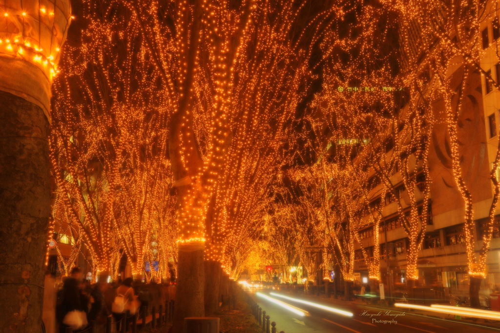 The pageant of light...
