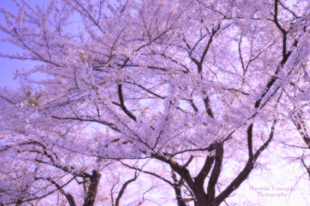 Spring joy...