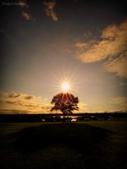 Today's twilight...