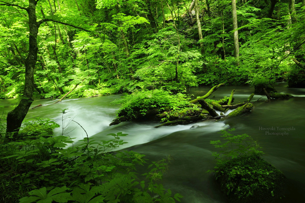 Healing flow...