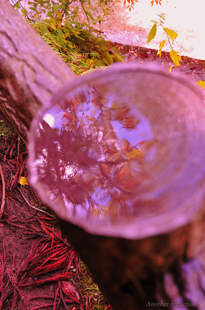 Another reflection...
