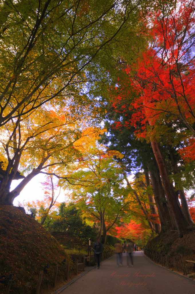 Approach to the temple...