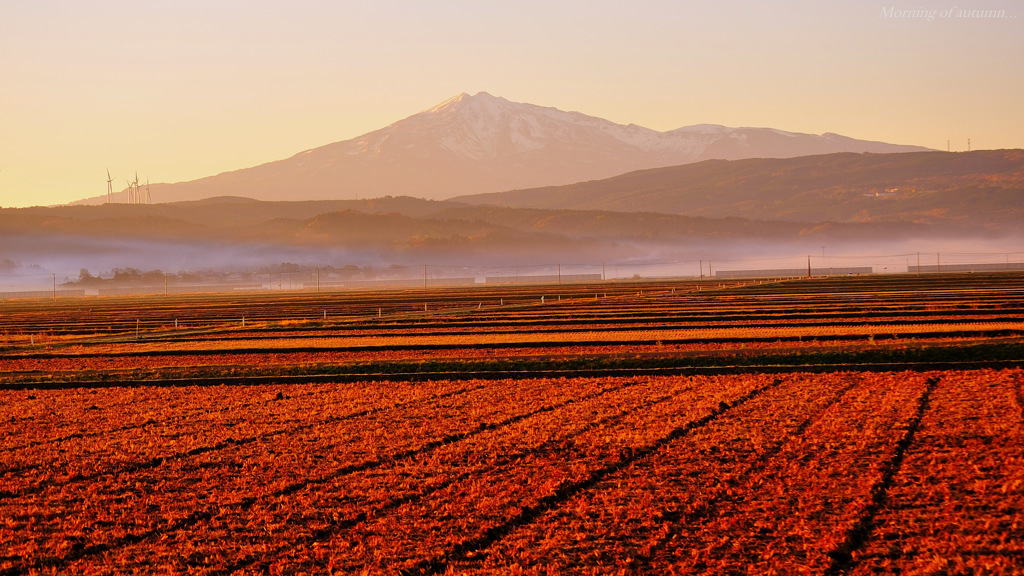 Morning of autumn...
