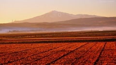 Morning of autumn...