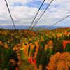Clorful autumn leaves...
