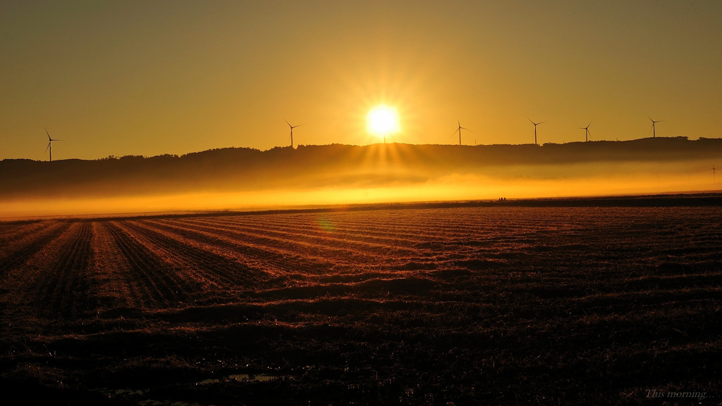 This morning...