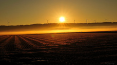 This morning...