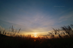 Awakening moment...