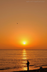 angler and a seagull and sunset...