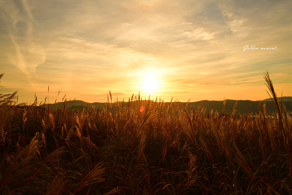 Golden moment...