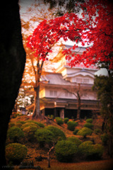 castle and autumn leaves...