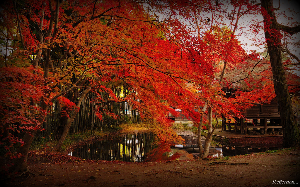 Reflection...