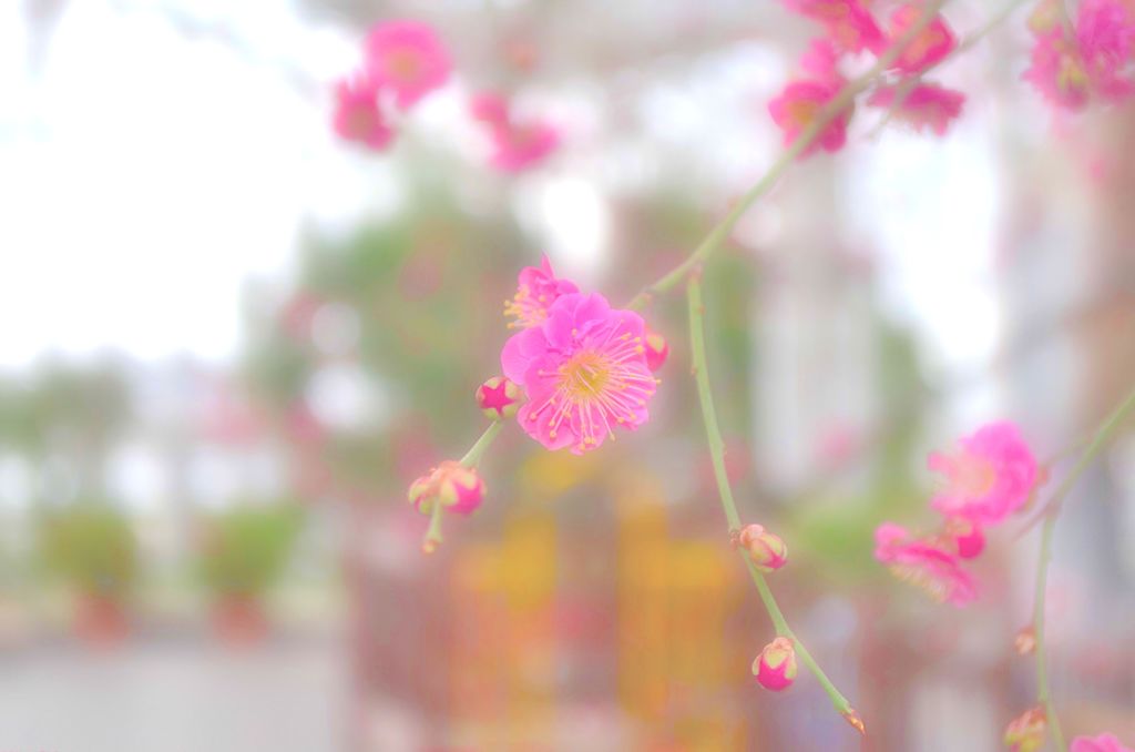 The air is full of spring