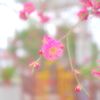 The air is full of spring