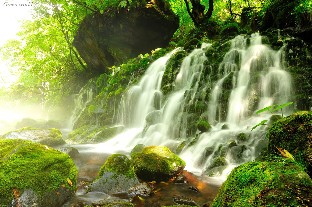 Green world...