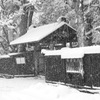 The tranquility of the snow...