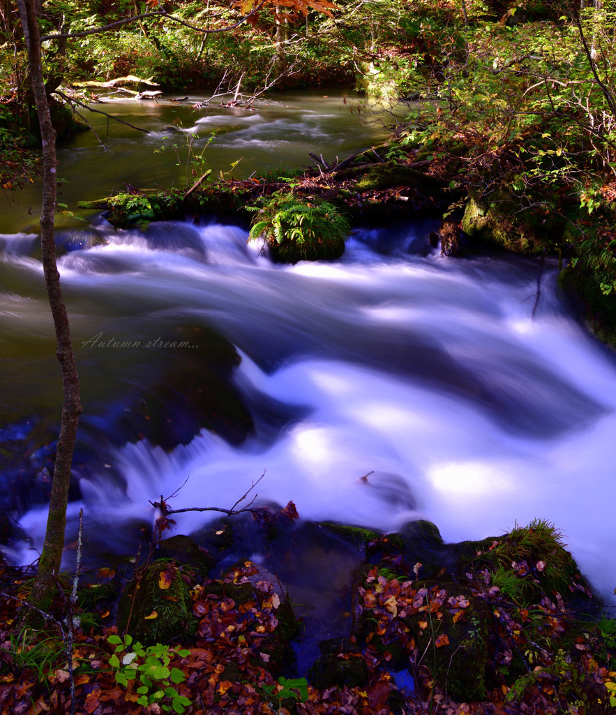 Autumn stream...