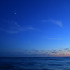 Until the night...