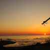 Beautiful twilight...