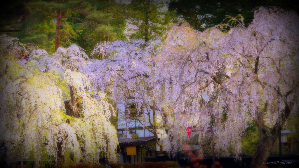 waterfall cherry...