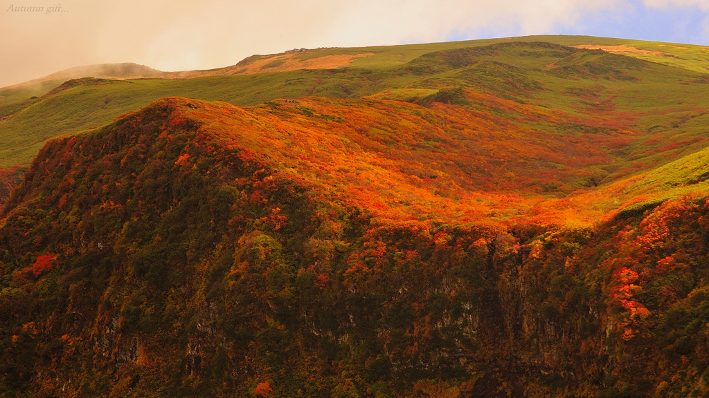 Autumn gift...