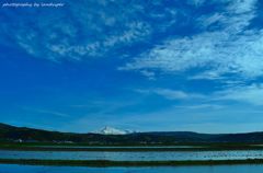 Under the blue sky