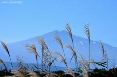 初秋の鳥海～４