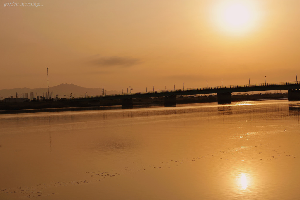 golden morning...