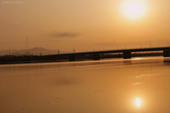 golden morning...