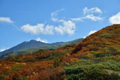 Autumn mountain...